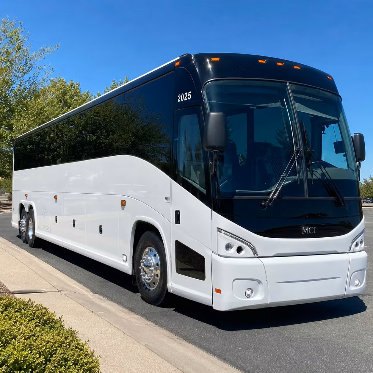 youth group and vbs transportation in elk grove made easy